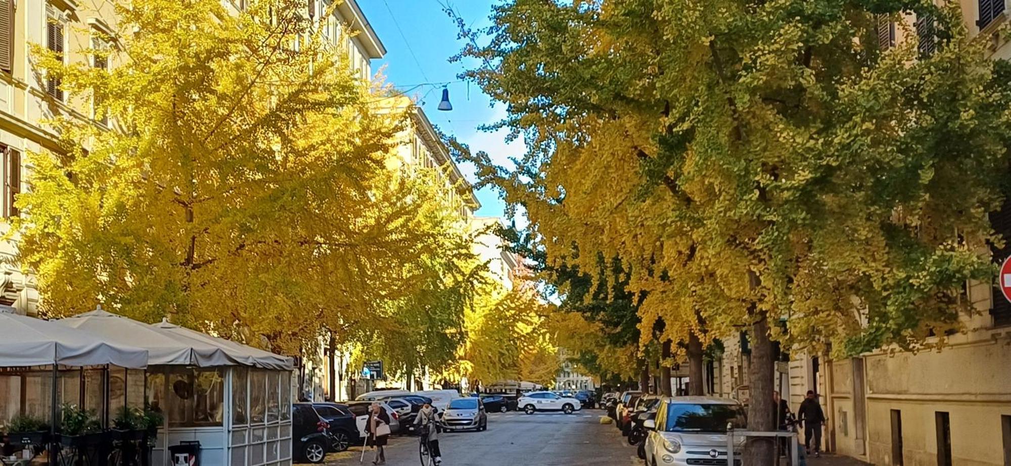 La Casa Dei Papi 71 Apartment Rome Bagian luar foto